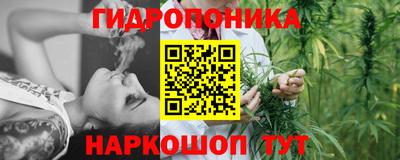 прущие крисы Братск