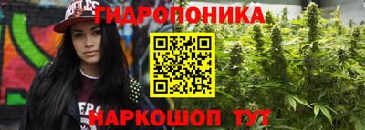 прущие крисы Братск