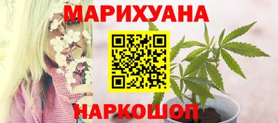 дмт Брянск