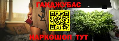 дмт Брянск