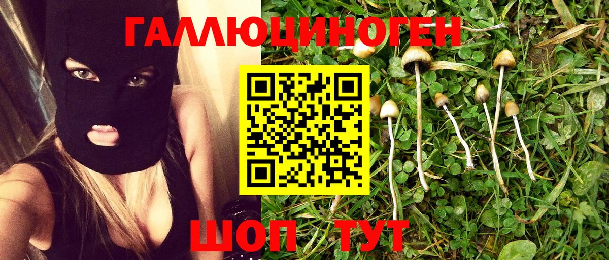 Галлюциногенные грибы прущие грибы Гурьевск