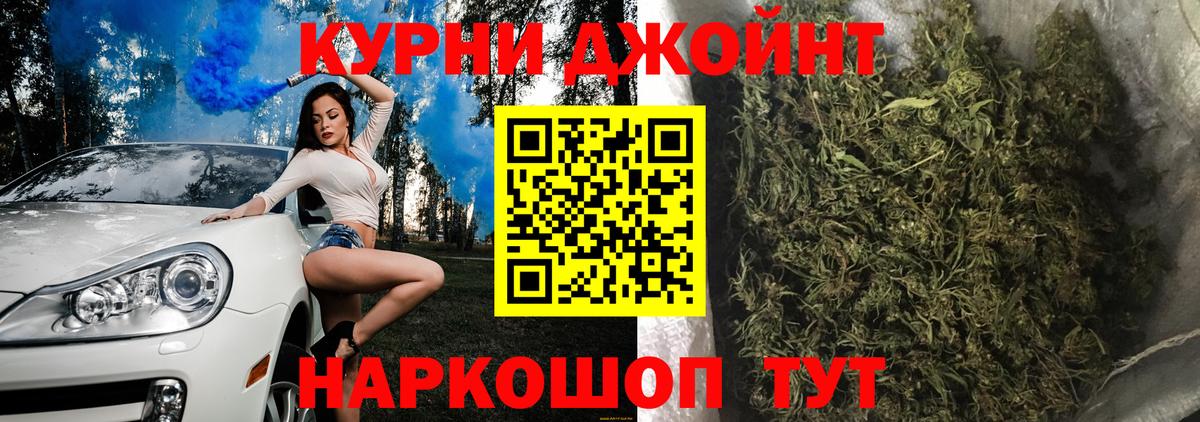 Конопля OG Kush Гурьевск